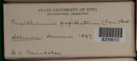Image Associated With the Occurence